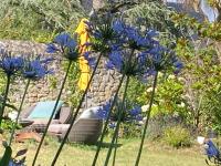 Studio avec jardin - Ferienwohnung Agon-Coutainville