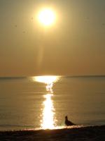 Spacerem nad morze - Ferienwohnung Danzig