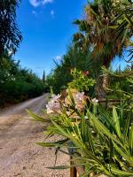 Seredipa a Scopello TP - Bed and Breakfast Castellammare del Golfo