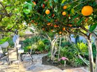 BellaLimone - B&B Calatabiano