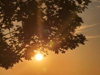 Maison cocooning à 20 min des plages - B&B Cabariot