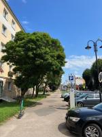 Giermkovnia apartament Elbląg - B&B Elbląg