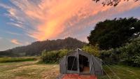 Vista Glamping Tent - B&B