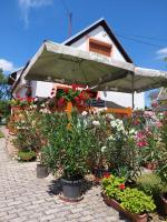 Lonci apartman - Chambres d’hôtes Zalakaros