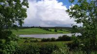 Tullynawood Glamping and Farm - B&B Darkley