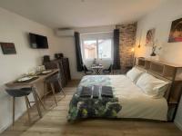 BACH studio BALNEO au calme parking gratuit - B&B Chasse-sur-Rhône