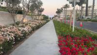 Marassi, Luxury Suite in Address Beach resort! service apartment - Chambres d’hôtes