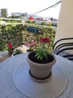 Šušanj Ilino APARTMAN - B&B Antivari