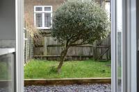 Luxury 8-bed 2 Bath Contractor Ready - B&B