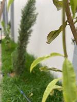 Garden land - B&B