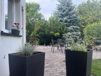 Carpe Diem - Ferienwohnung