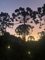 Aconchegante Apartamento - Ferienwohnung Campos do Jordão