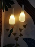 Jungle - B&B Pesaro