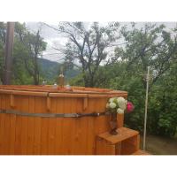 Cabana Zimbru mica - B&B
