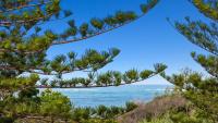 Surfside Apartment 11 by Kingscliff Accommodation - B&B