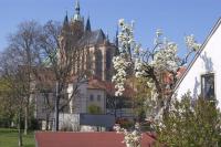 Hotelpension am Dom - Ferienwohnung