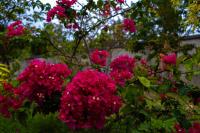 RhenMart-Inn - B&B