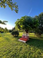 Maison, gîte la famille les amis - B&B Allassac