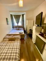 modern studio Apartment sleeps 4 people opposite Westfield Shepherds bush - Bed and Breakfast Londen