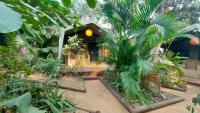 DEVOCEAN Lodge - Bed and Breakfast Ponta d'Ouro