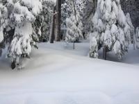 HighlandHouse - Bed and Breakfast Arnold