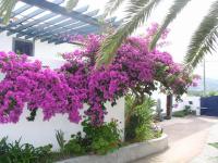 Quinta dos Afectos - B&B São Vicente