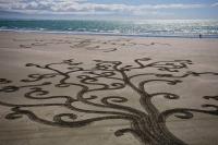 Tahuna Beach Oasis - Bed and Breakfast Nelson