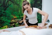 Apartments Leonid - Bed and Breakfast Podčetrtek