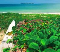 Apto 203- Itaipava a 60 m da praia - B&B Itapemirim