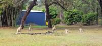 Roo Or 2 on Streeter - Bed and Breakfast