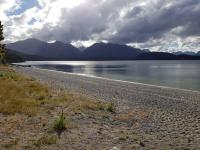 Manapouri Beech Haven - Bed and Breakfast Manapouri