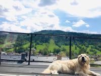 Ski & Bike Apartment - Ferienwohnung Szczyrk