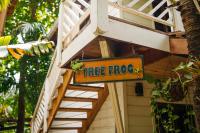 Luxe Tweepersoonskamer Tree Frog met Uitzicht op Zee