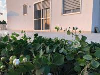 Tenuta Mare Verde - B&B Torre dell'Orso