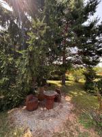 Villa Borovitsa - B&B