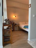 Appartamento Monolocale con Balcone