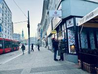 Bratislava center - green apartment - B&B
