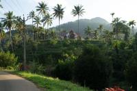 View Valley Homestay - B&B