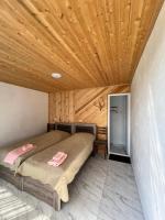 Deluxe Double or Twin Room with Mountain View