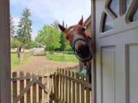 Ravissante maisonnette - B&B Galluis