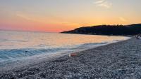 Little Paradise Livadi Himare - B&B Himarë