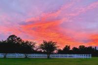Visit the beach, stay at Serenity Farms - Chambres d’hôtes Cantonment