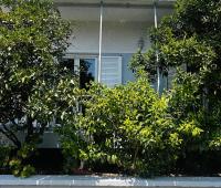 Sotiris Mandarin house - Bed and Breakfast Diakoptó