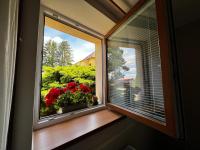 Penzion Aneta - B&B Svijany