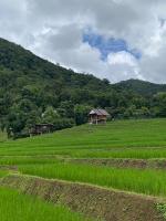 บ้านพักชิปู ป่าบงเปียง - B&B Ban Pan Noi