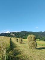 Agroturystyka Pod Zamczyskiem - Bed and Breakfast Sromowce Wyżne