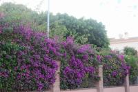 Domu Kokoro - Ferienwohnung Pula