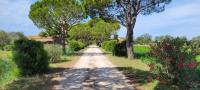 Mas du Grand Peloux - B&B