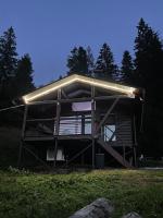 Lisoviy Zatyshok 2 ,котеджі,басейн - B&B