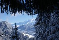 Cabane dans les Arbres Nid